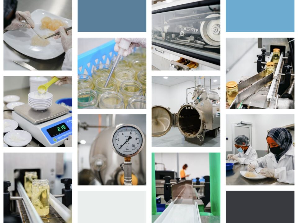 7 Health Benefits of OEM Bottled Bird's Nest to Expand Your Business