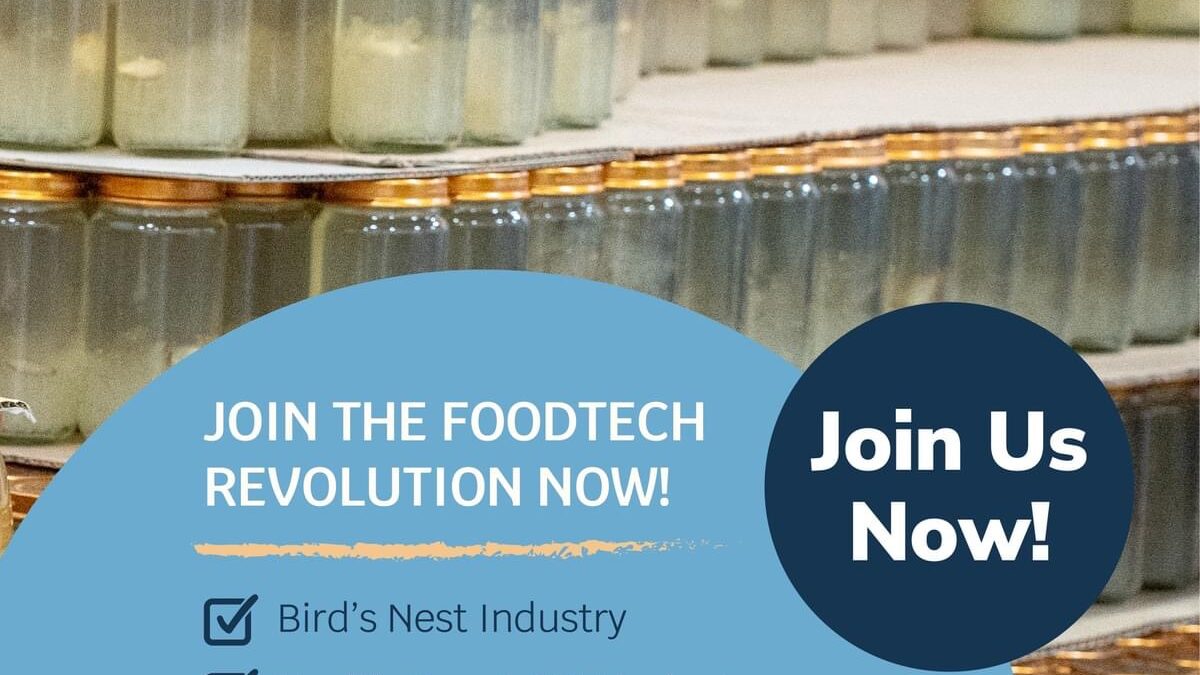 oem bird nest drink factory