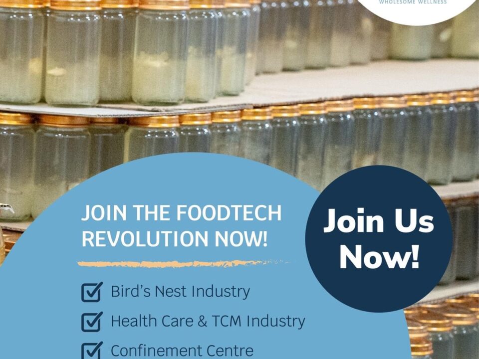 oem bird nest drink factory
