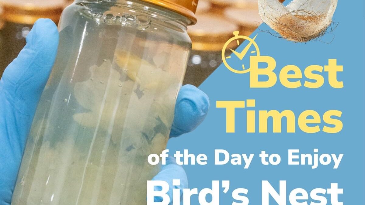 Benefits of Birds Nest the best time to enjoy birds nest drinks