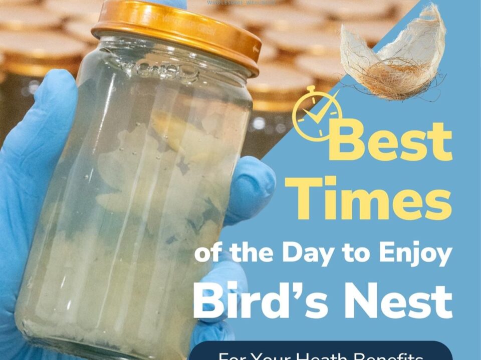 Benefits of Birds Nest the best time to enjoy birds nest drinks